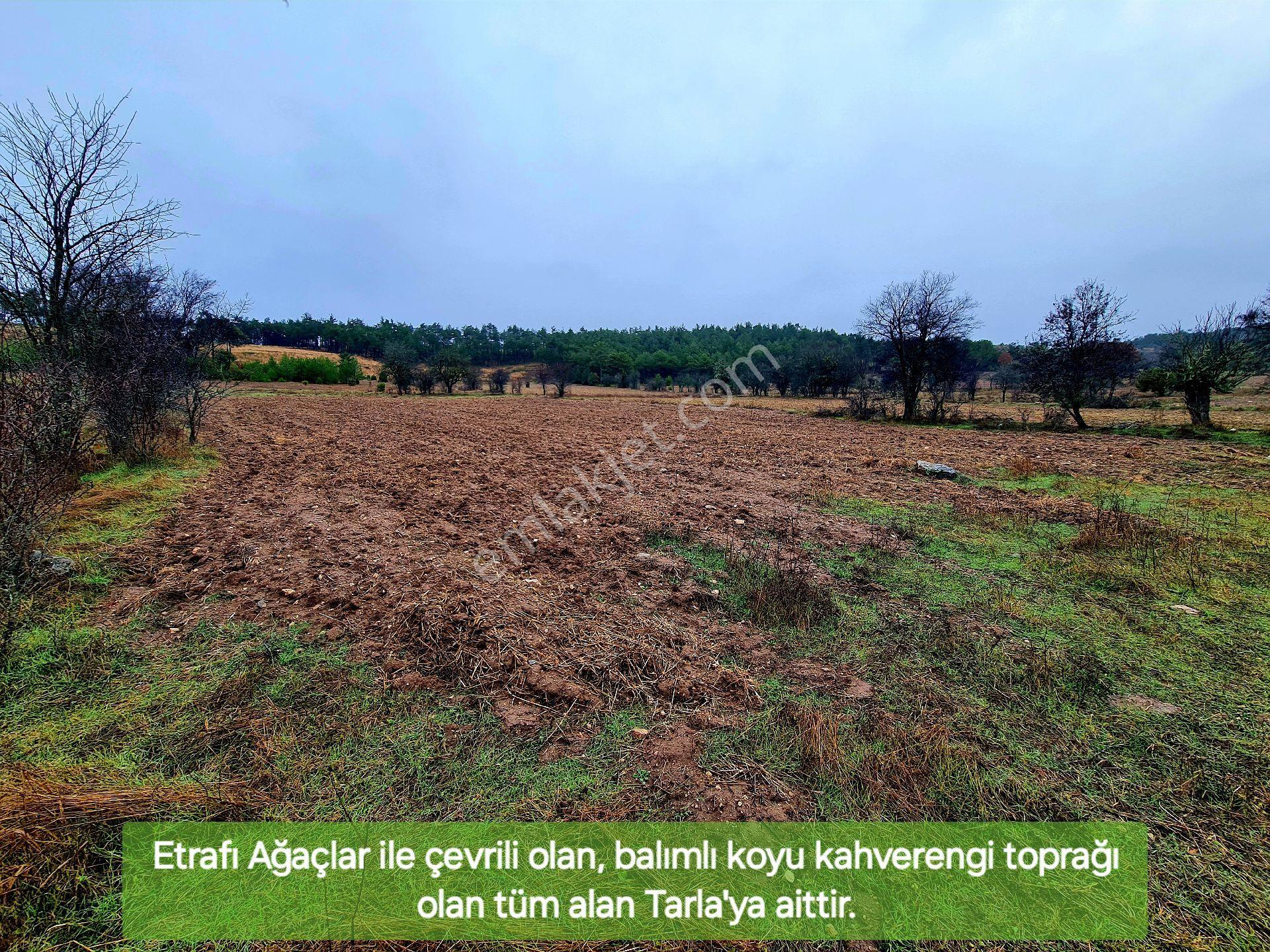 Balıkesir Dursunbey Alagüneyde 2.383 M² Su Yakını Düz Bakımlı Güzel Uygun Tarla. Açıklamayı Okuyunuz - Görsel 30