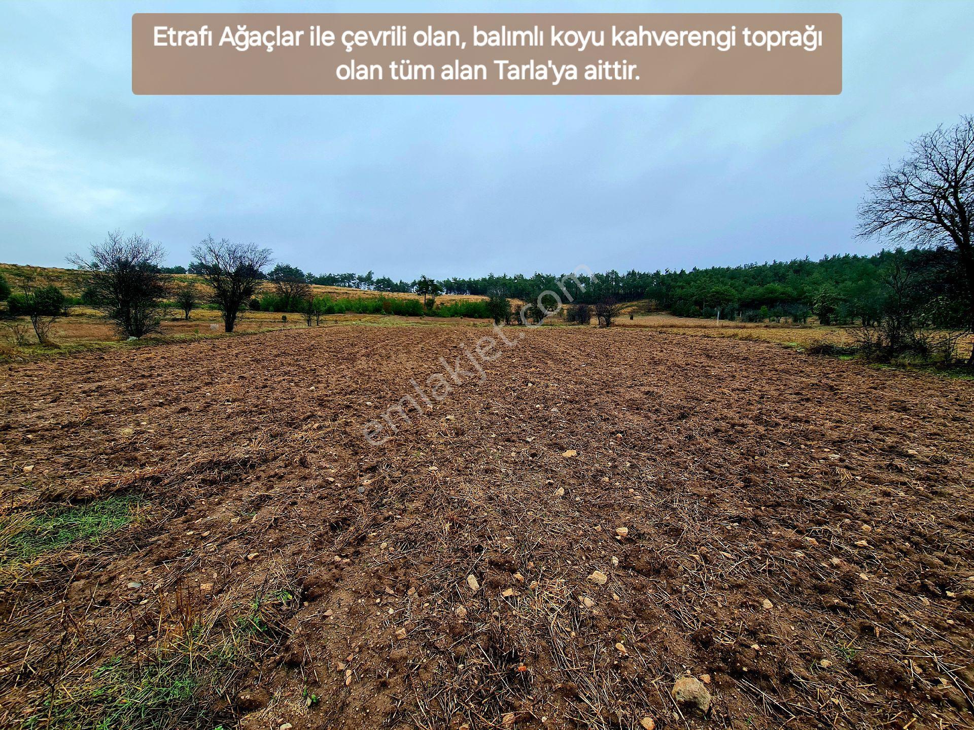 Balıkesir Dursunbey Alagüneyde 2.383 M² Su Yakını Düz Bakımlı Güzel Uygun Tarla. Açıklamayı Okuyunuz - Görsel 28