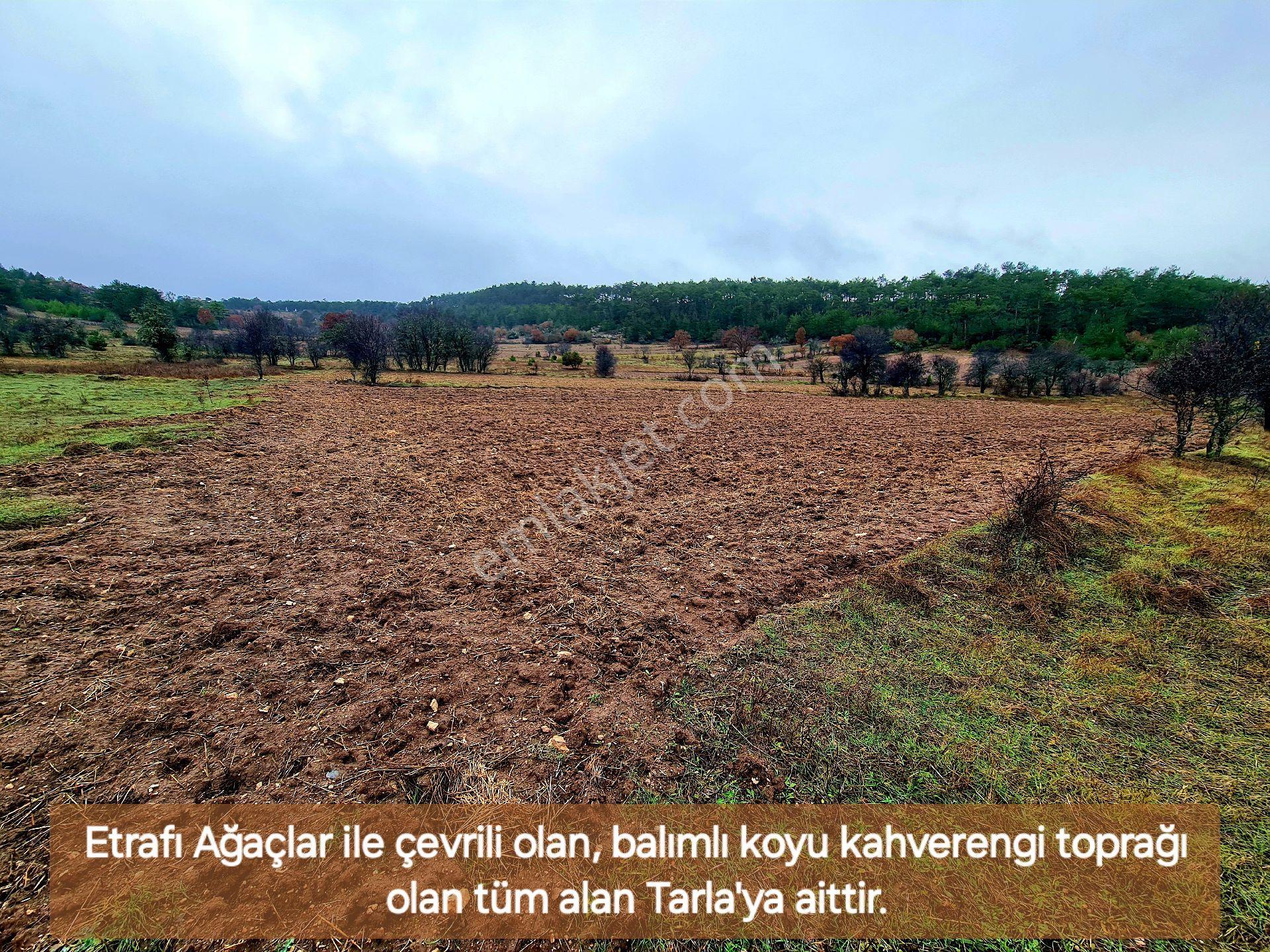 Balıkesir Dursunbey Alagüneyde 2.383 M² Su Yakını Düz Bakımlı Güzel Uygun Tarla. Açıklamayı Okuyunuz - Görsel 21