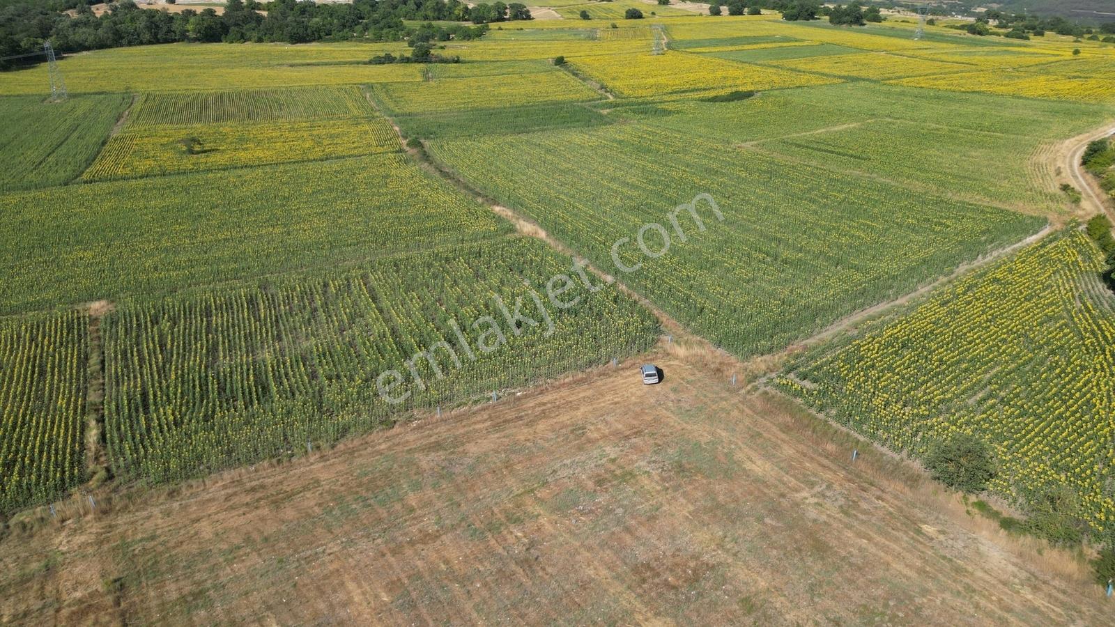 Vize Evrencikte 318 M² Fırsat Kupon Arazimiz