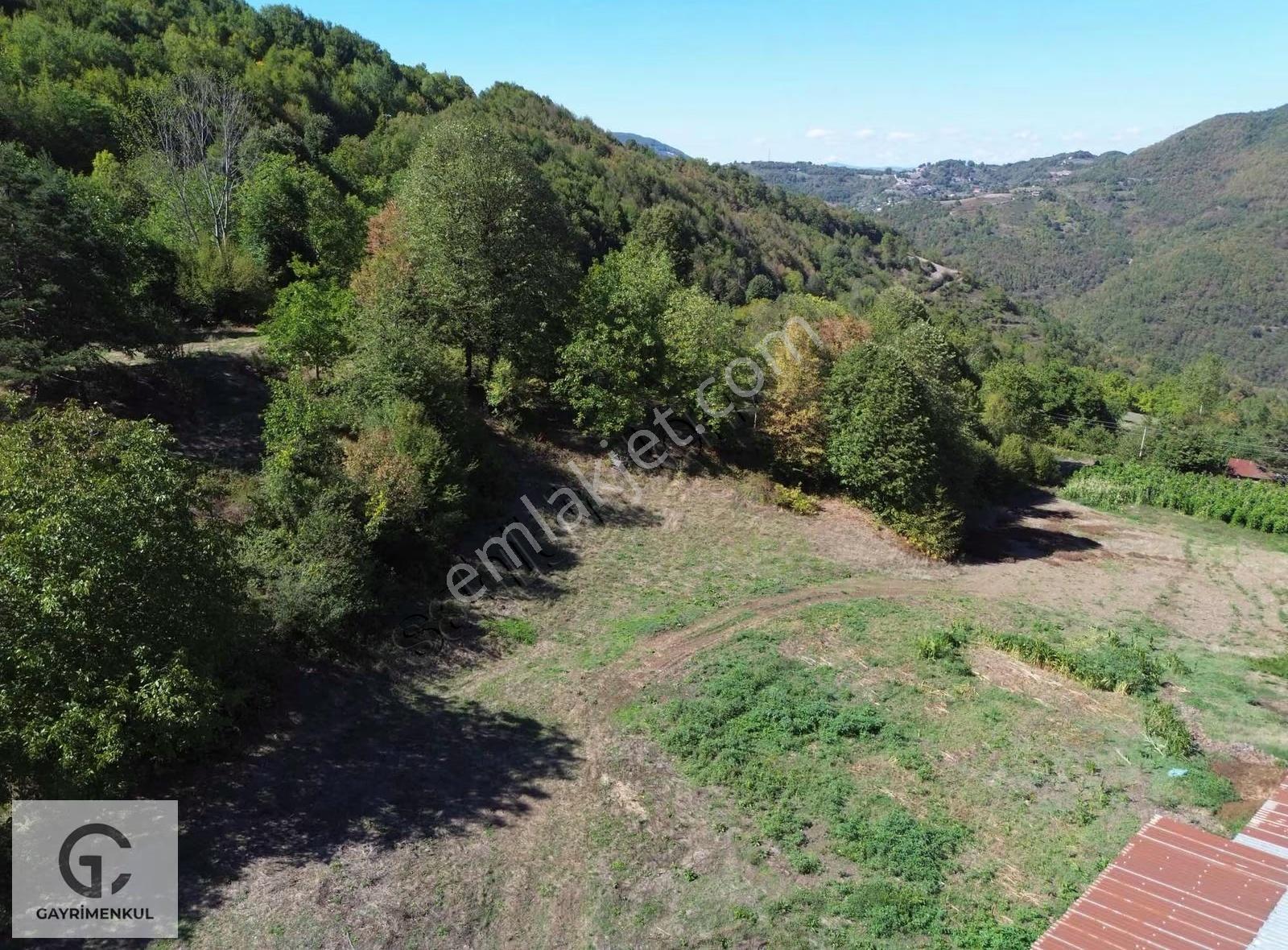 Gc Gayrimenkulden 3.000m2 Başiskele Serinderede Arsa - Görsel 5