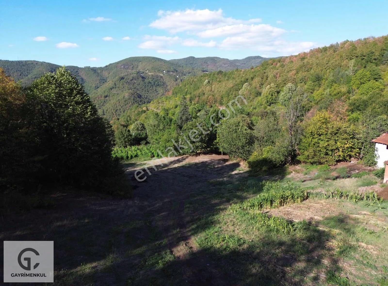 Gc Gayrimenkulden 3.000m2 Başiskele Serinderede Arsa - Görsel 11