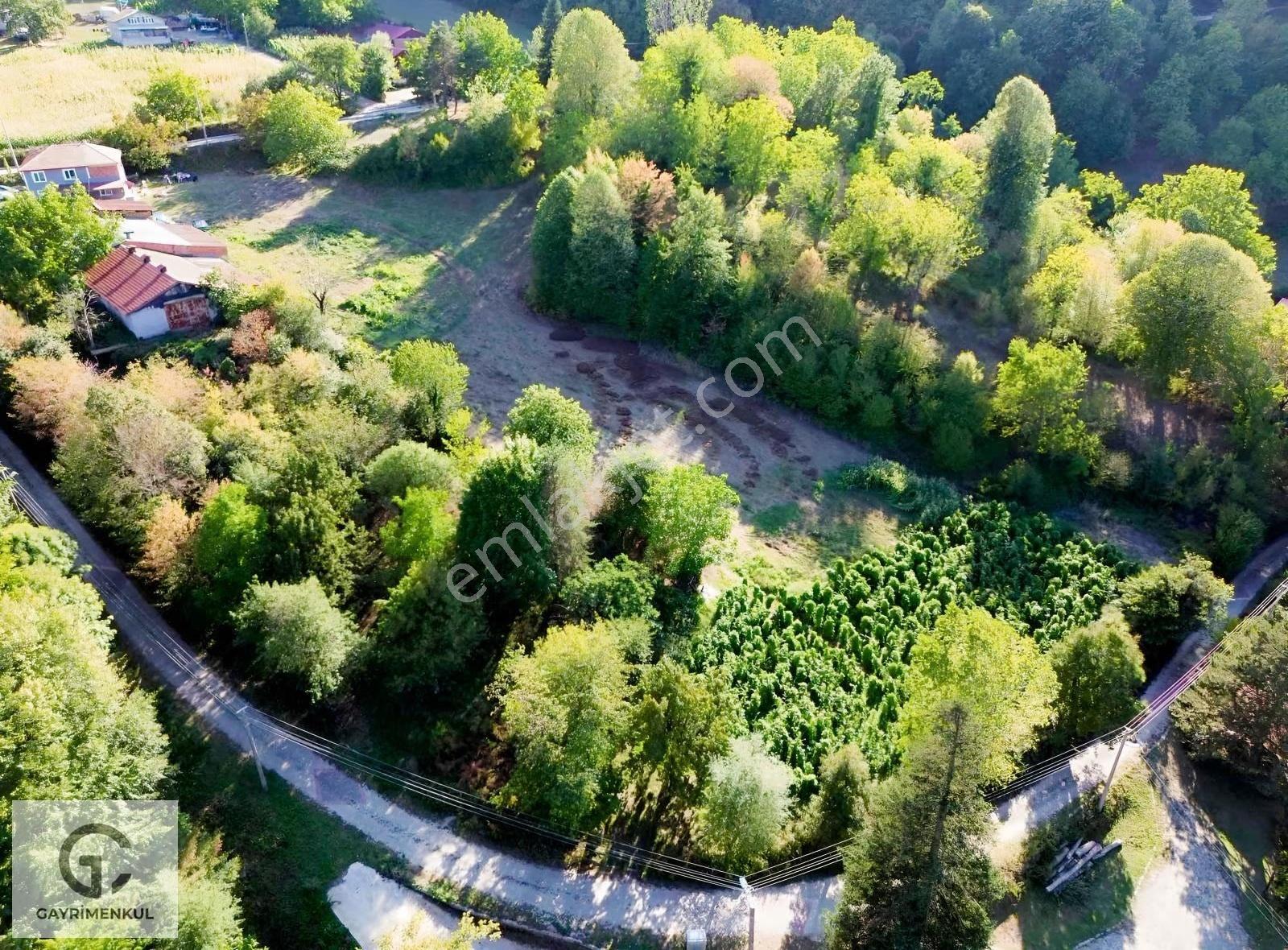 Gc Gayrimenkulden 3.000m2 Başiskele Serinderede Arsa