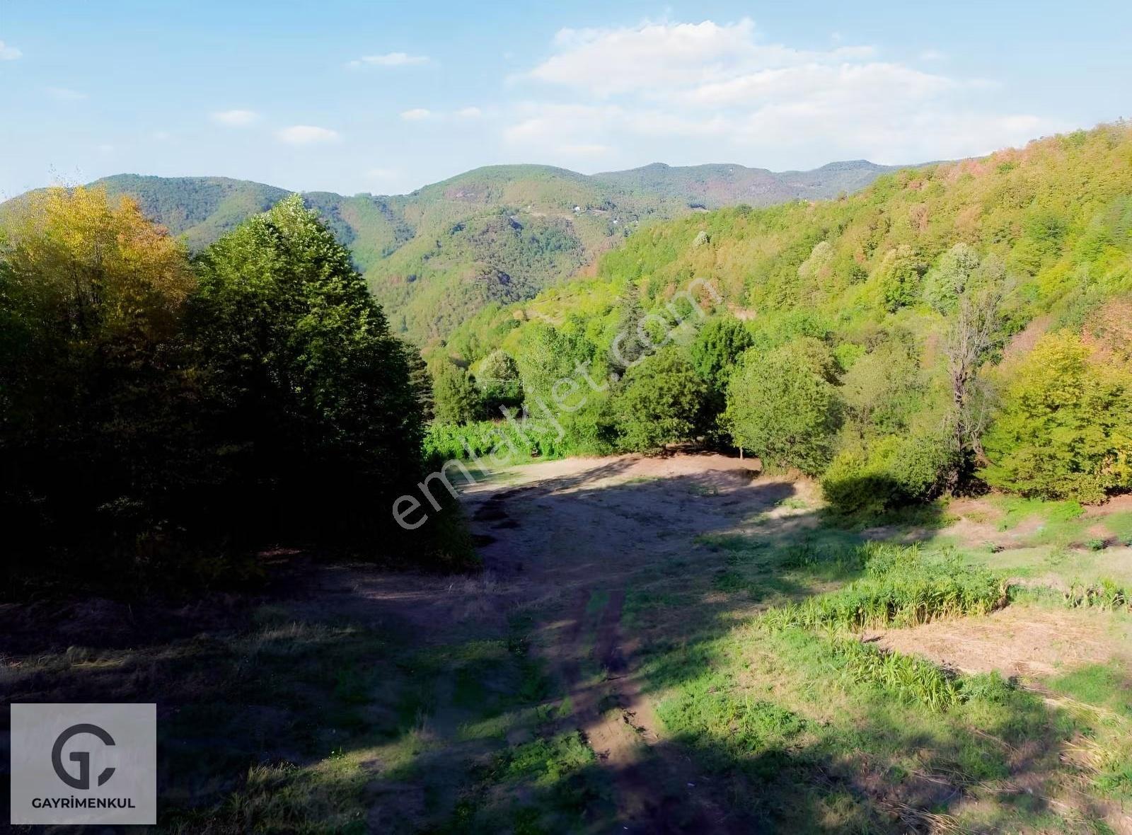 Gc Gayrimenkulden 3.000m2 Başiskele Serinderede Arsa - Görsel 12