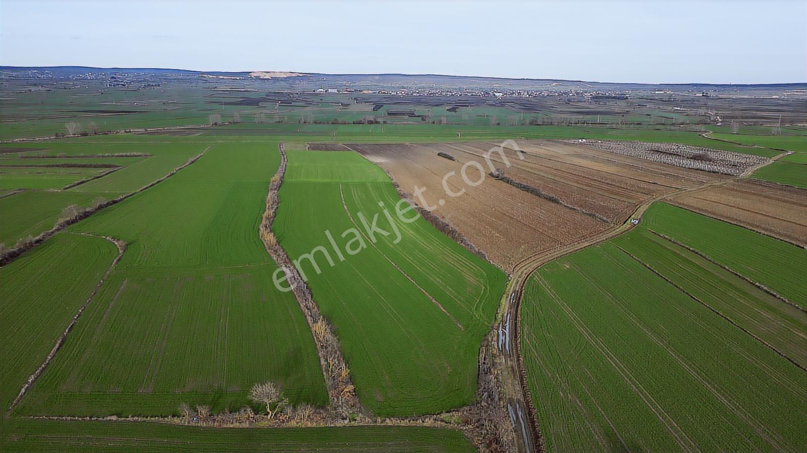 Tekirdağ Saray Edirköy 398 M² Tarladan Hisse - Görsel 4