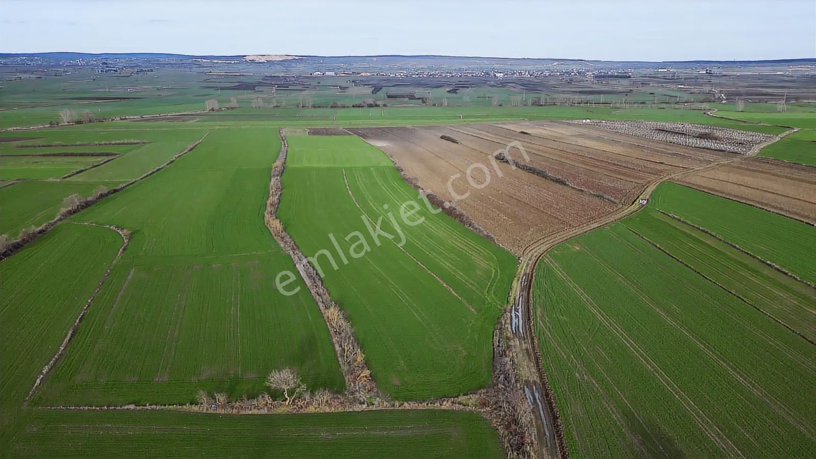 Tekirdağ Saray Edirköy 398 M² Tarladan Hisse - Görsel 6