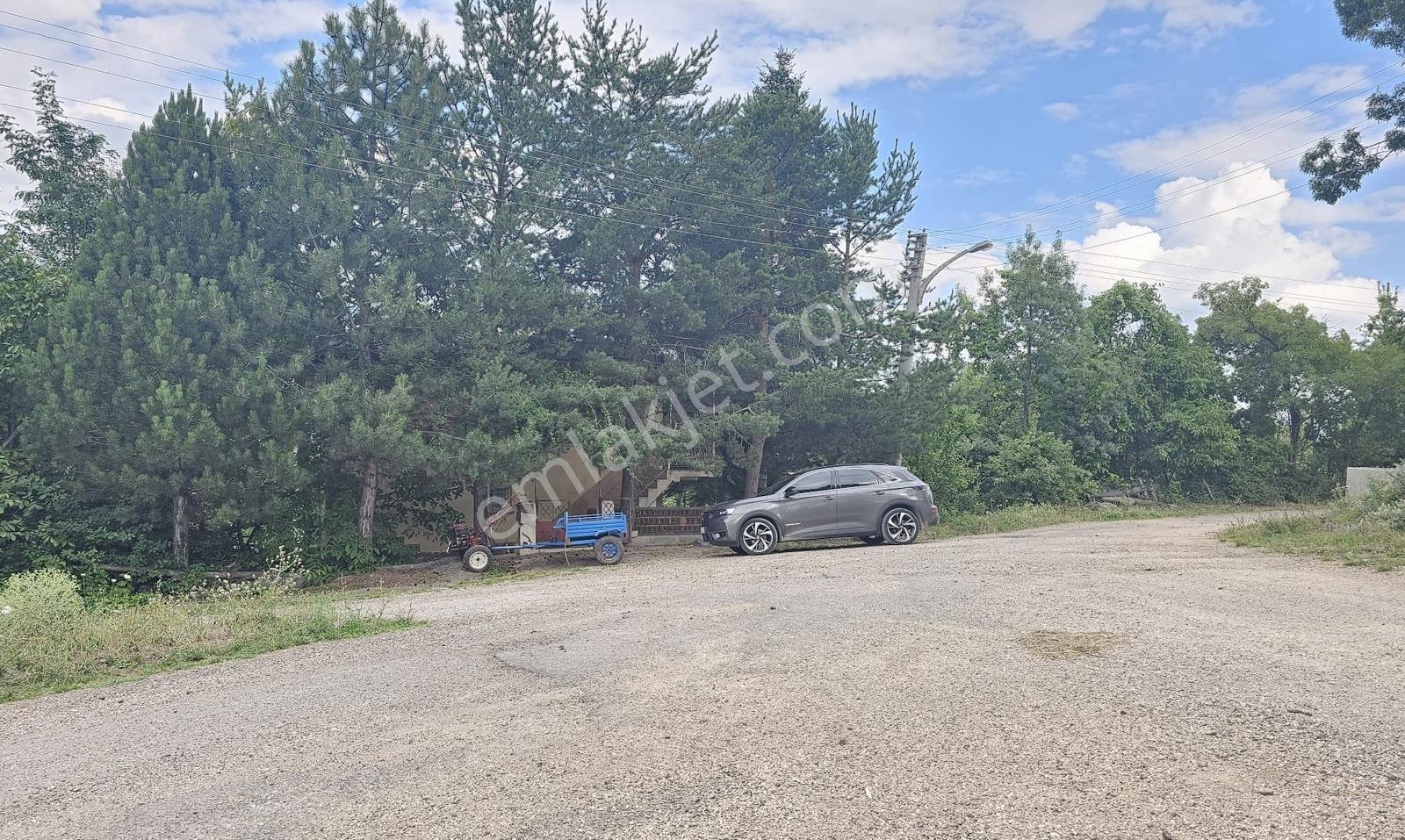 5.750 M2 Bağ İçinde 2 Katlı 2+1 Ev İle Hazır Bahçe Fırsatı - Görsel 6