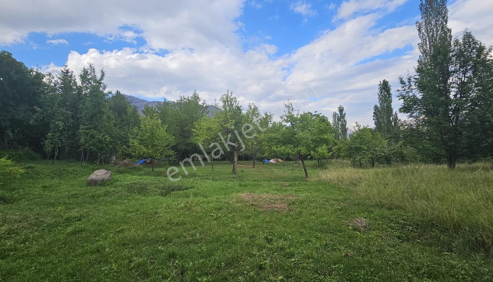 5.750 M2 Bağ İçinde 2 Katlı 2+1 Ev İle Hazır Bahçe Fırsatı - Görsel 12