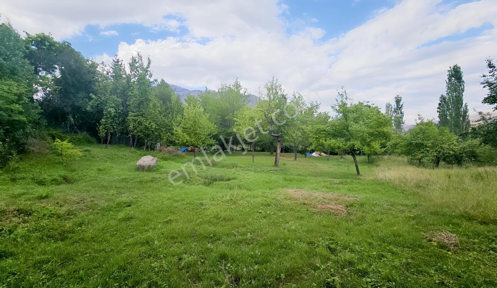 5.750 M2 Bağ İçinde 2 Katlı 2+1 Ev İle Hazır Bahçe Fırsatı - Görsel 24