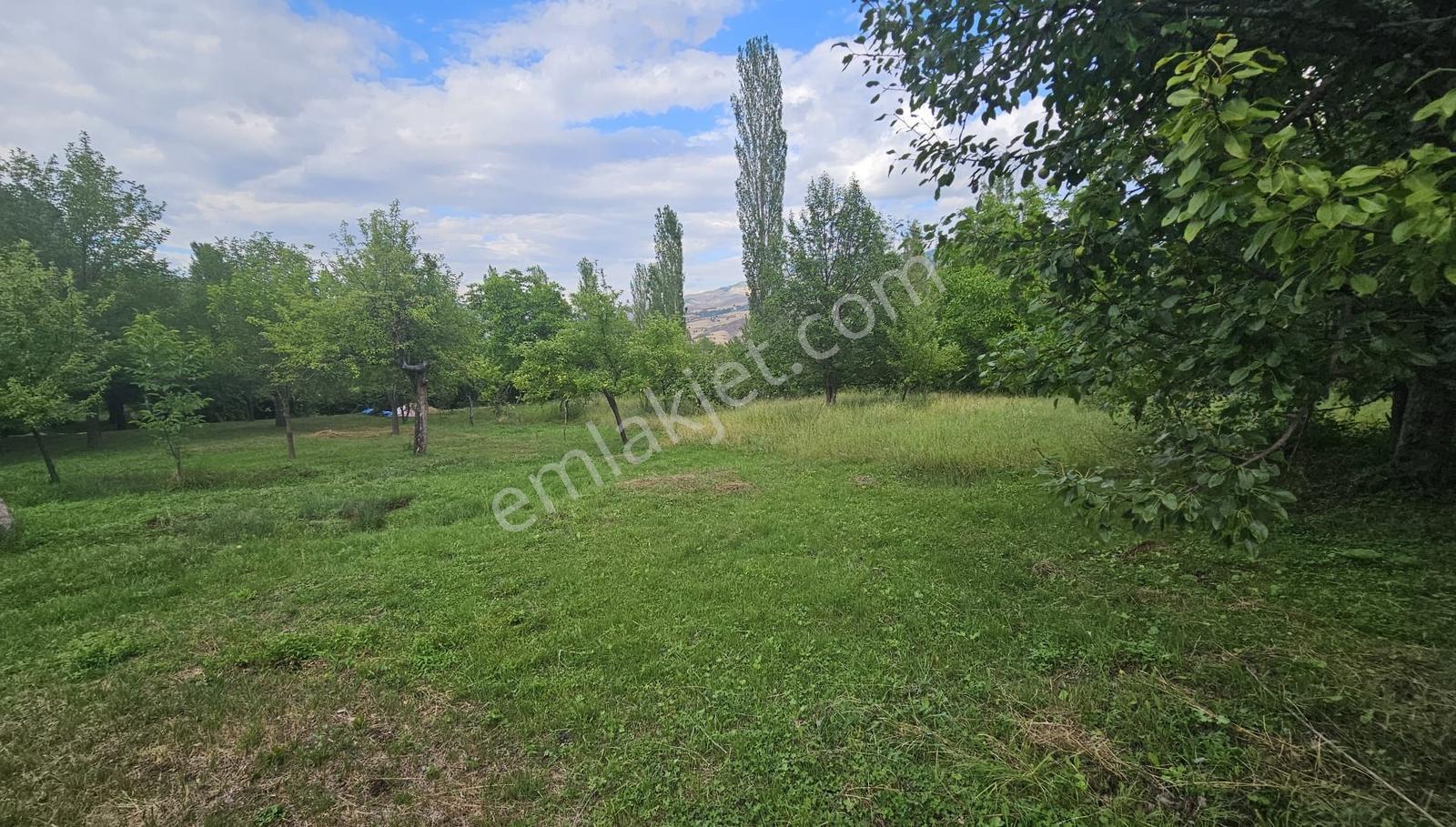5.750 M2 Bağ İçinde 2 Katlı 2+1 Ev İle Hazır Bahçe Fırsatı - Görsel 13