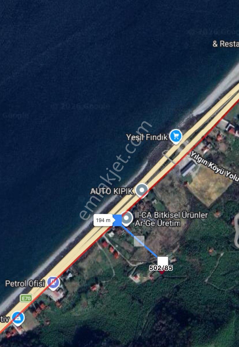 Gül Gayrimenkul'den Tirebolu Yılgın Mahallesi'nde Denize Yakın 511 M2 Satılık Arsa - Görsel 5