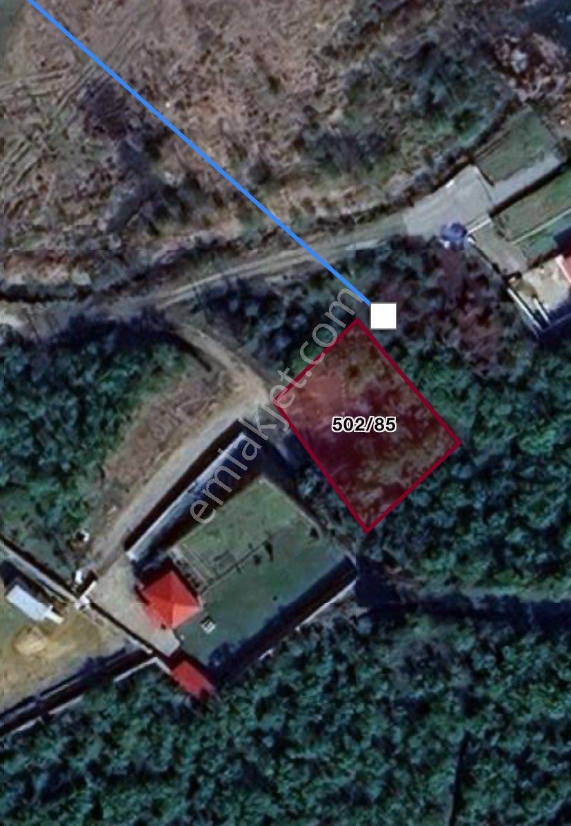 Gül Gayrimenkul'den Tirebolu Yılgın Mahallesi'nde Denize Yakın 511 M2 Satılık Arsa - Görsel 3