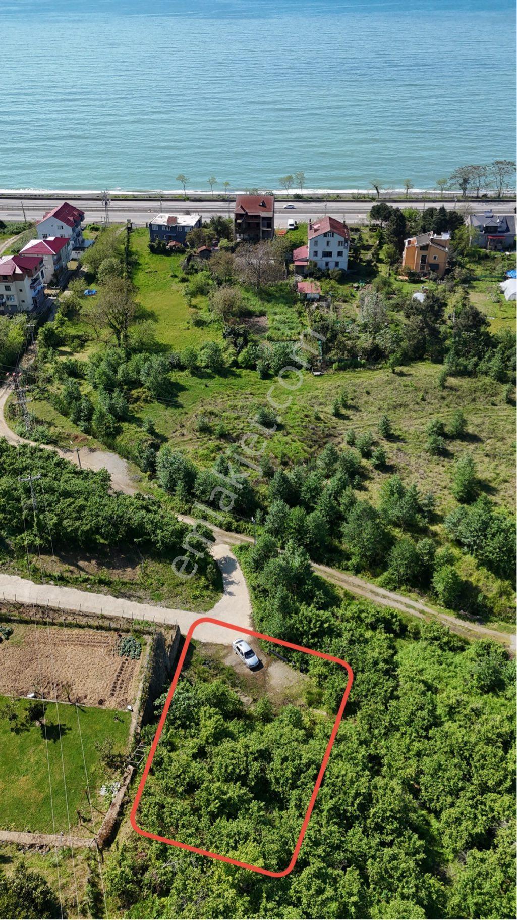 Gül Gayrimenkul'den Tirebolu Yılgın Mahallesi'nde Denize Yakın 511 M2 Satılık Arsa - Görsel 2