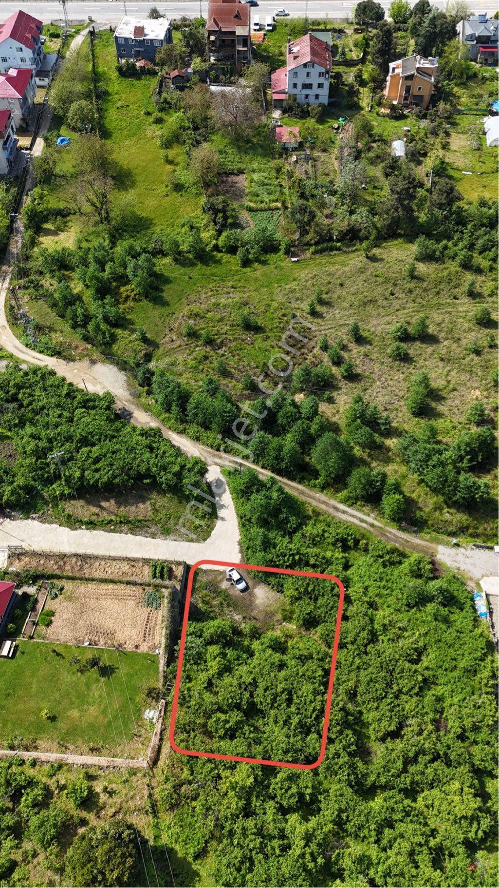 Gül Gayrimenkul'den Tirebolu Yılgın Mahallesi'nde Denize Yakın 511 M2 Satılık Arsa - Görsel 10