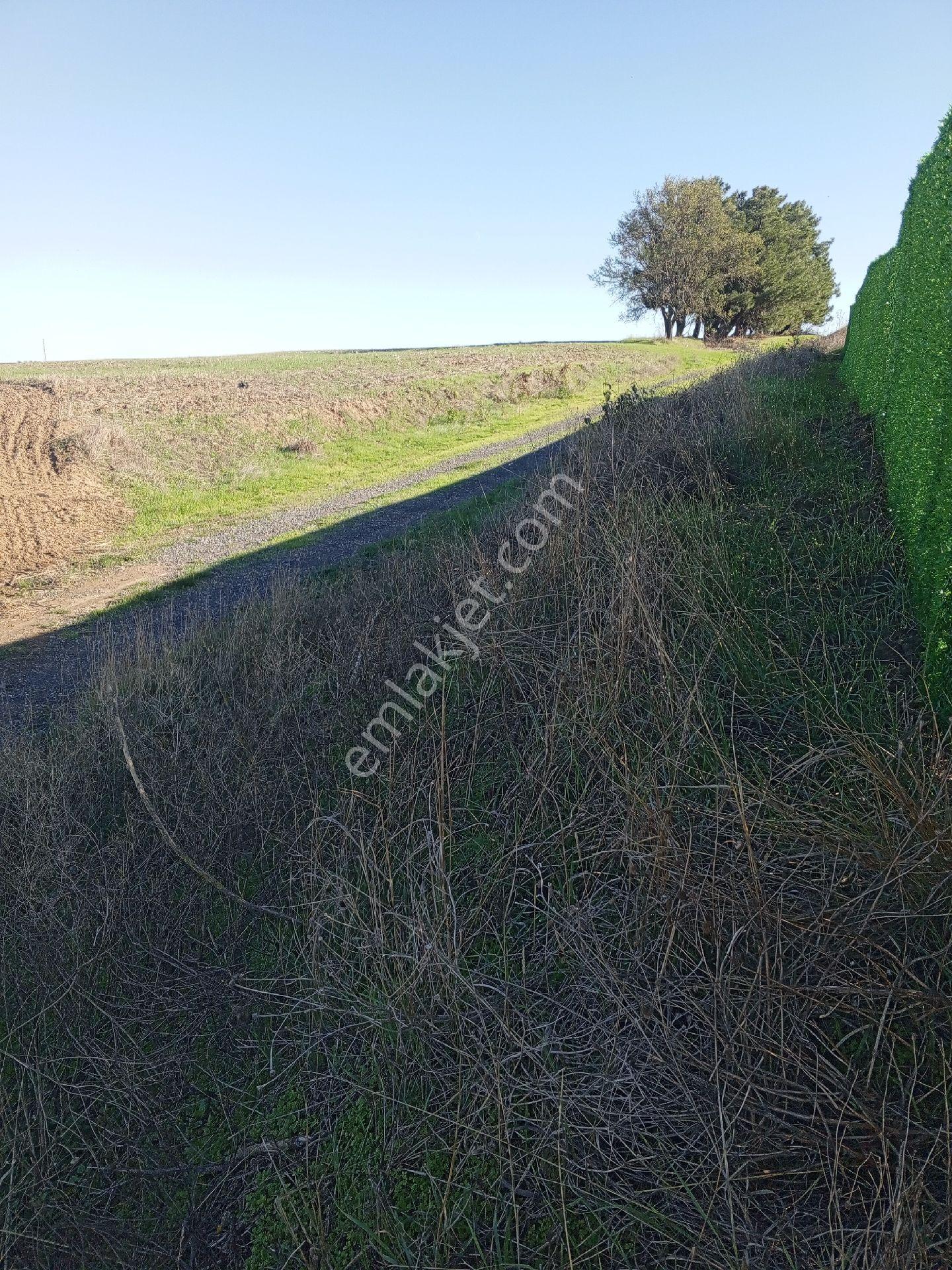 Tekirdağ Süleymanpaşa Karahalil Mah Satılık 369 M² Arsa - Görsel 14