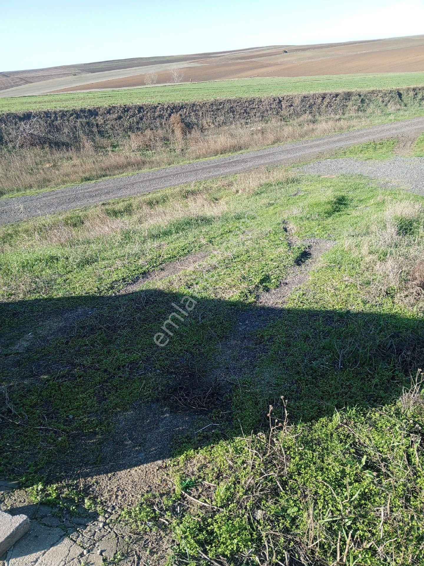 Tekirdağ Süleymanpaşa Karahalil Mah Satılık 369 M² Arsa - Görsel 22