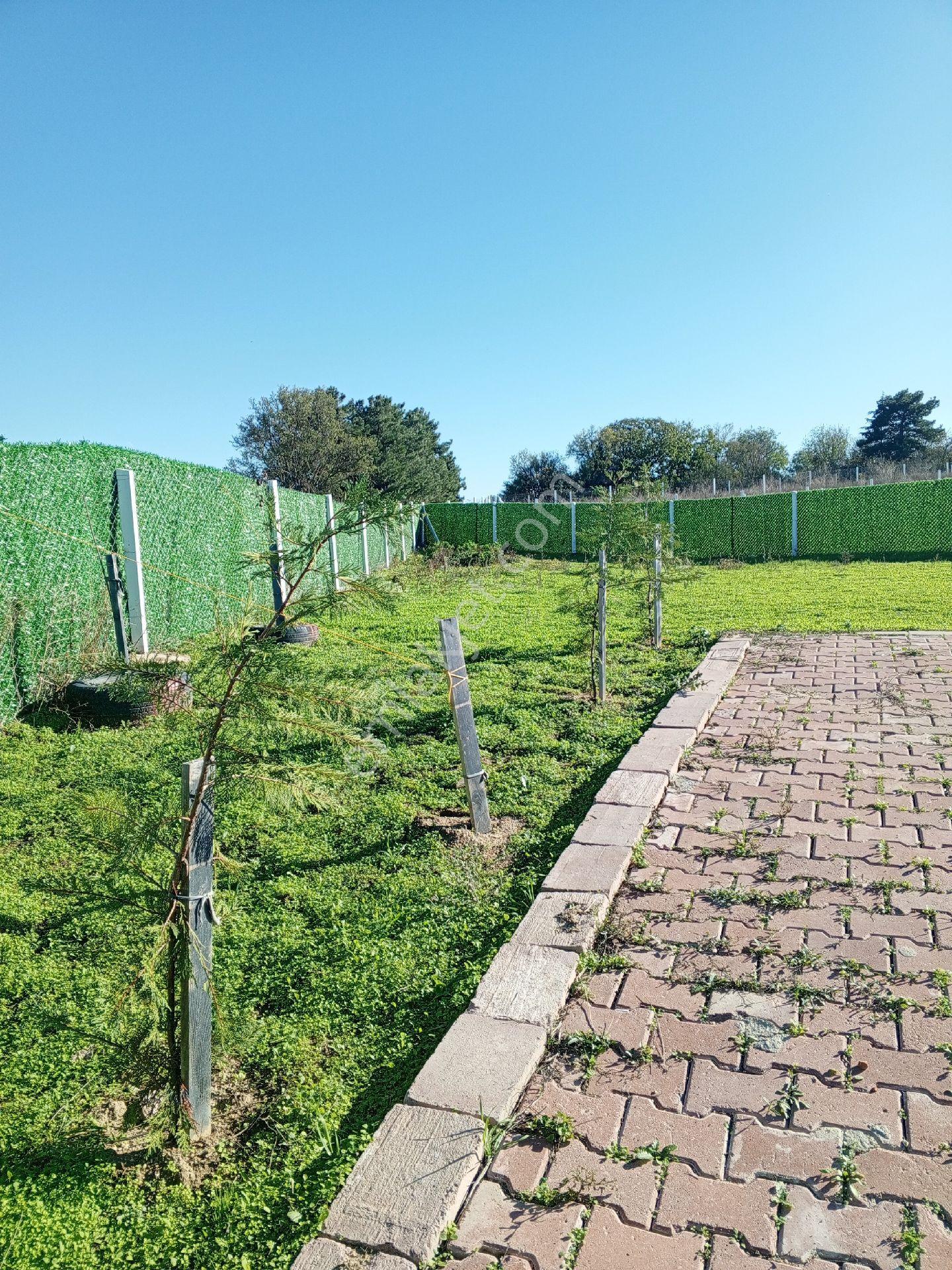 Tekirdağ Süleymanpaşa Karahalil Mah Satılık 369 M² Arsa - Görsel 25