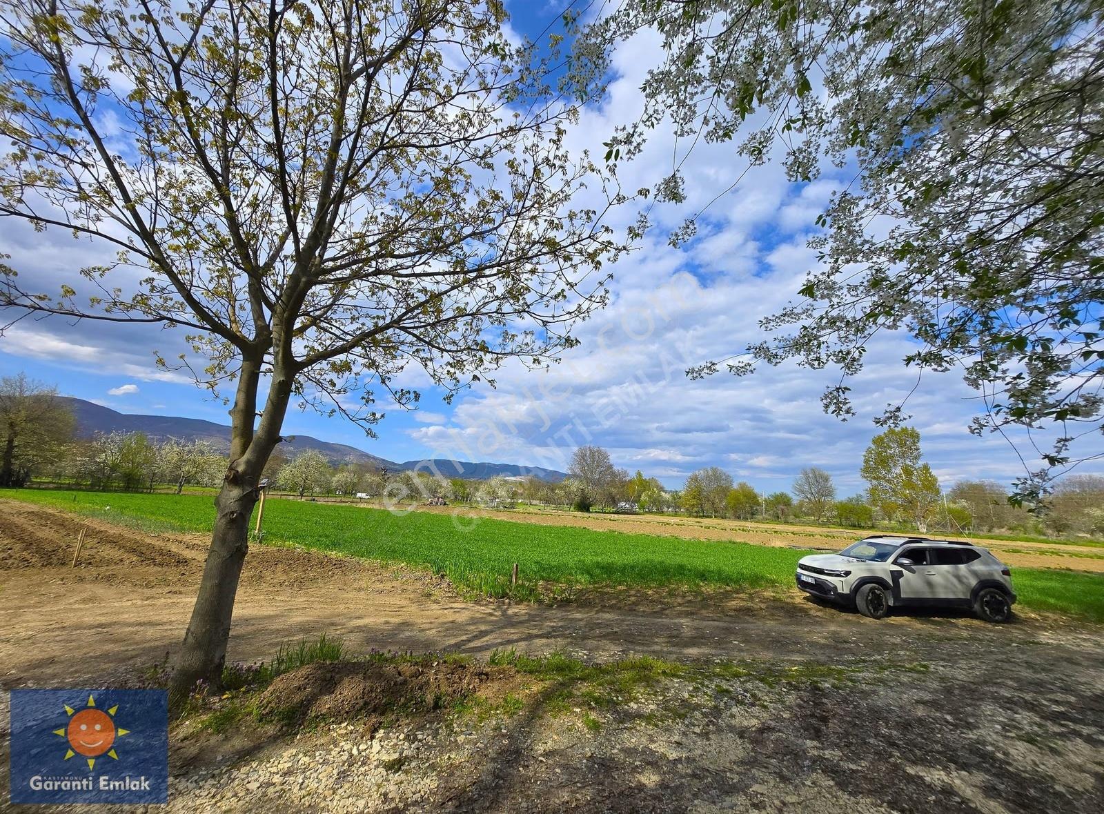 Garanti Emlak'tan, Taşköprü Yolu, Merkeze 10 Km, 3.420 M² Bahçe. - Görsel 25