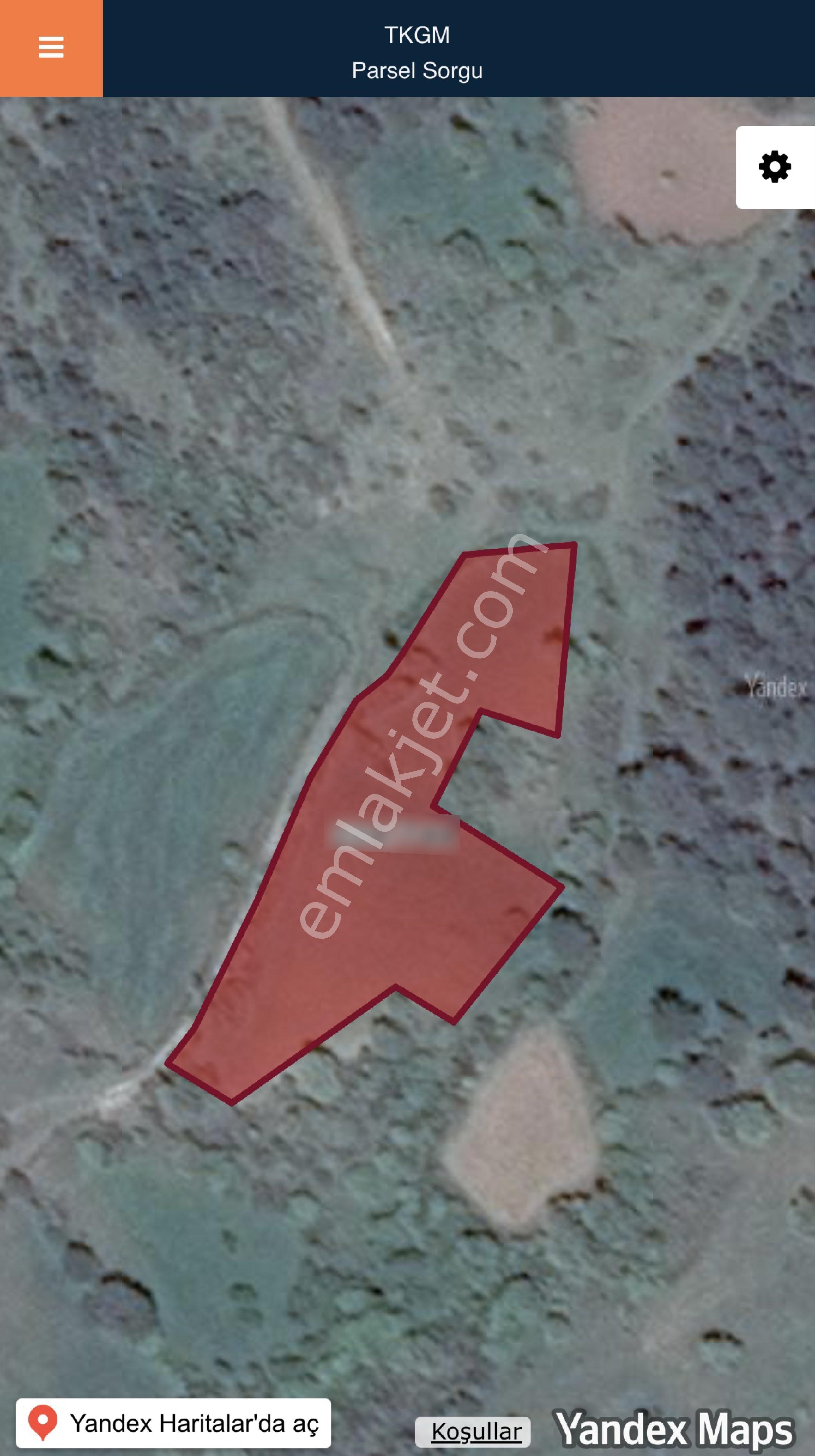 Balcity - Kepsut Yaylabaşın'da Resmi Yola Cepheli Satılık 4.901 M² Tarla - Görsel 4
