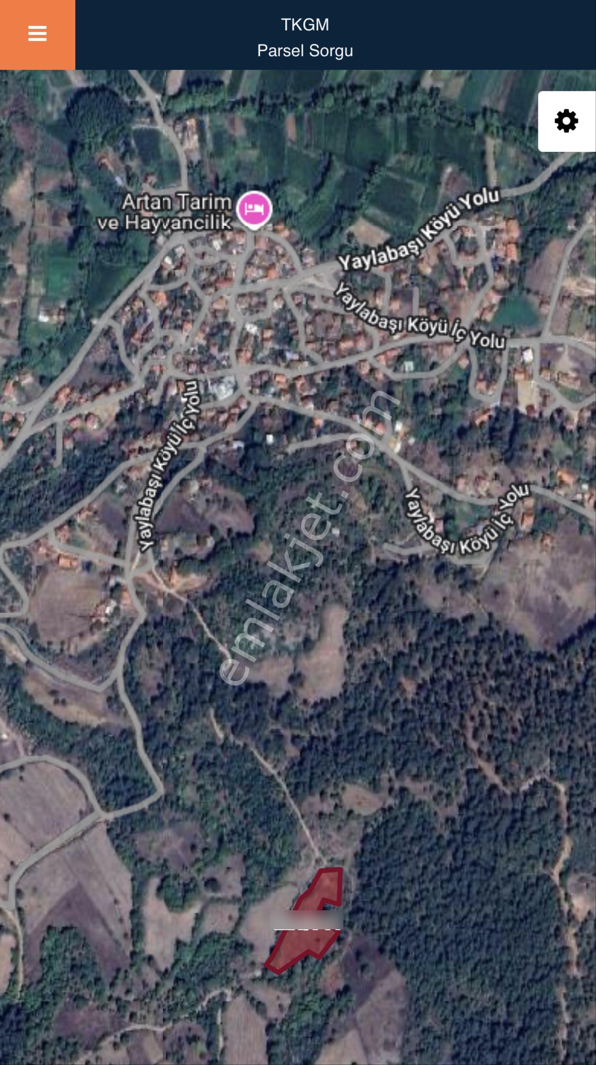 Balcity - Kepsut Yaylabaşın'da Resmi Yola Cepheli Satılık 4.901 M² Tarla - Görsel 2