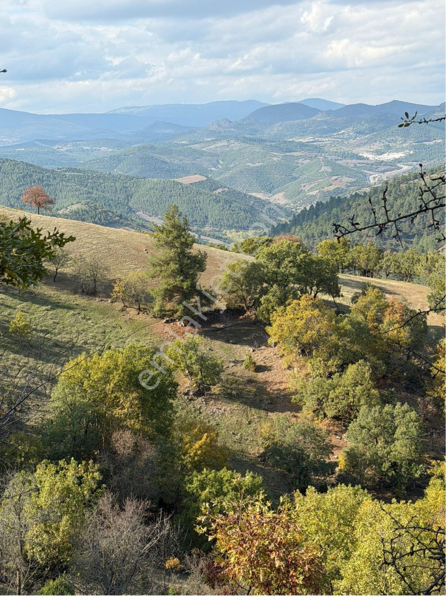Balcity -balıkesir Dursunbey'de 8.349 M2 Yola Yakın Yatırım Fırsatı - Görsel 5