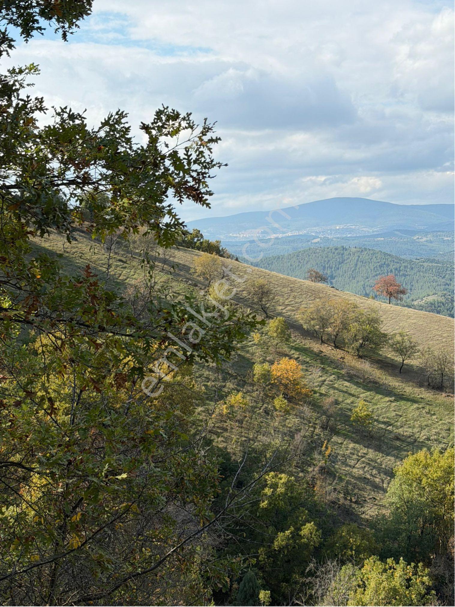Balcity -balıkesir Dursunbey'de 8.349 M2 Yola Yakın Yatırım Fırsatı - Görsel 10