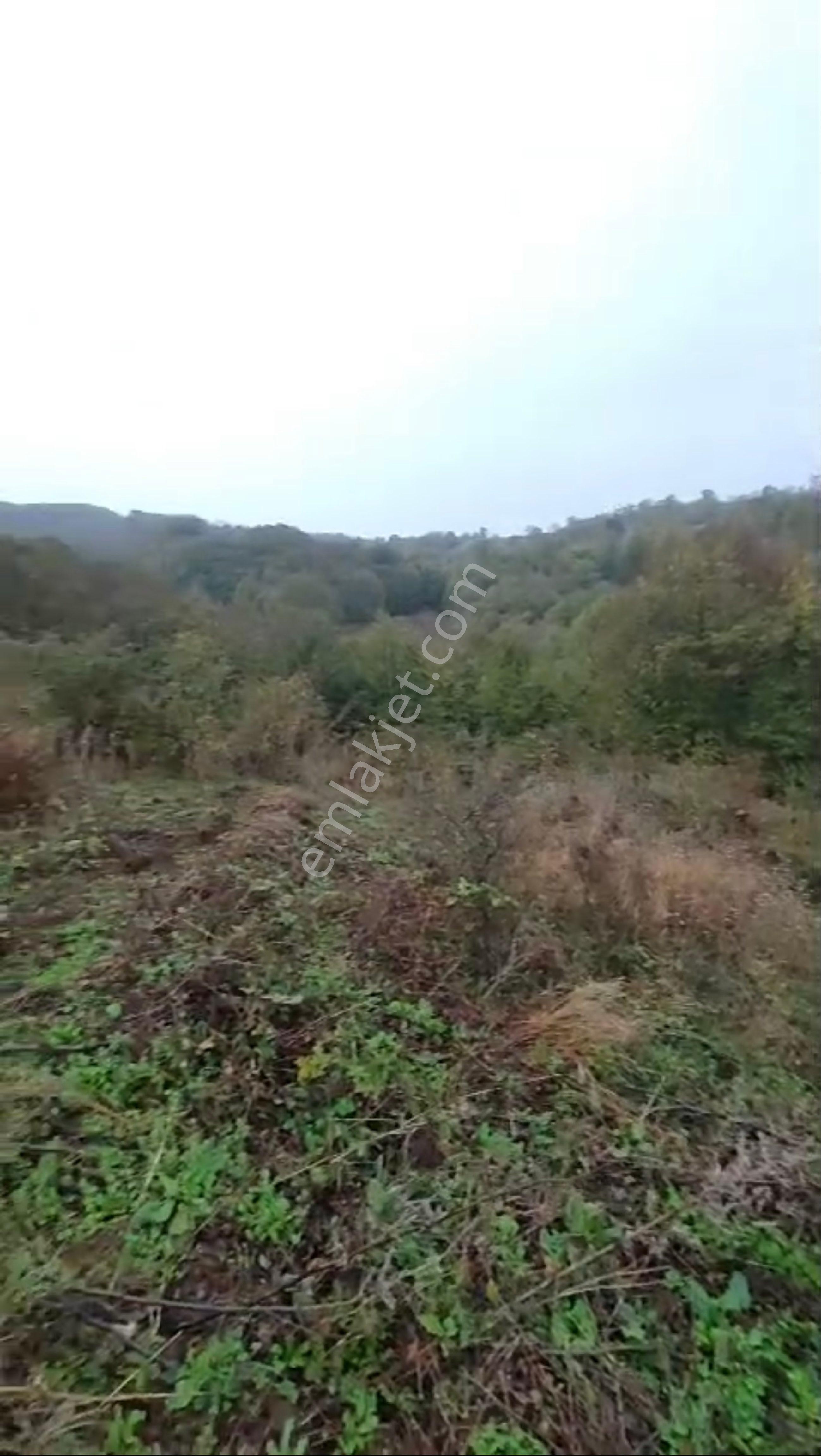 Balcity - Gönen Çobanhamidiye Köyünde 7.212 M2 Resmi Yola Cephe Tarla - Görsel 3