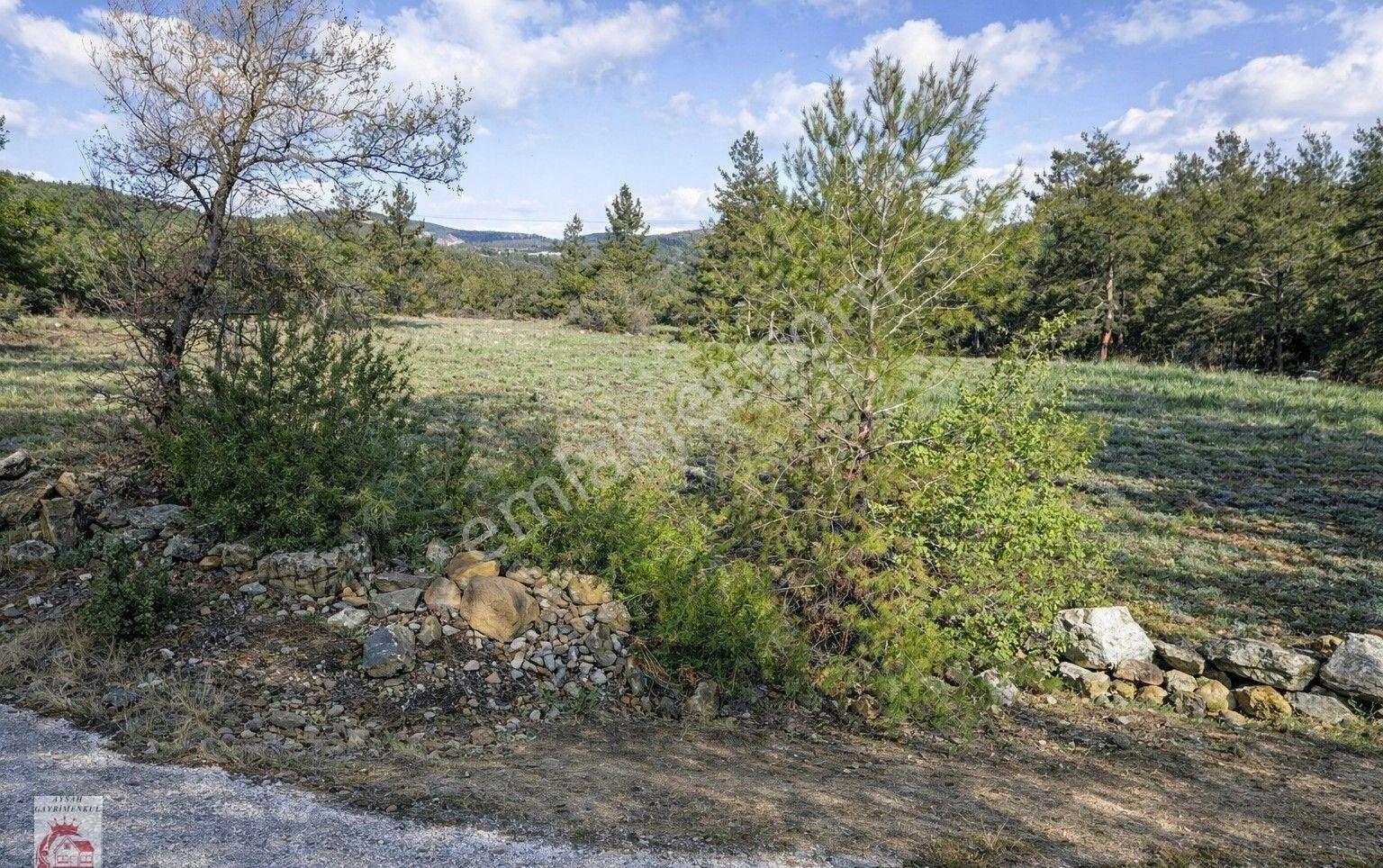 Ayşah'tan Acıpayam Çameli Yolu Üzerinde Satılık 5.400 M2 Tarla - Görsel 2