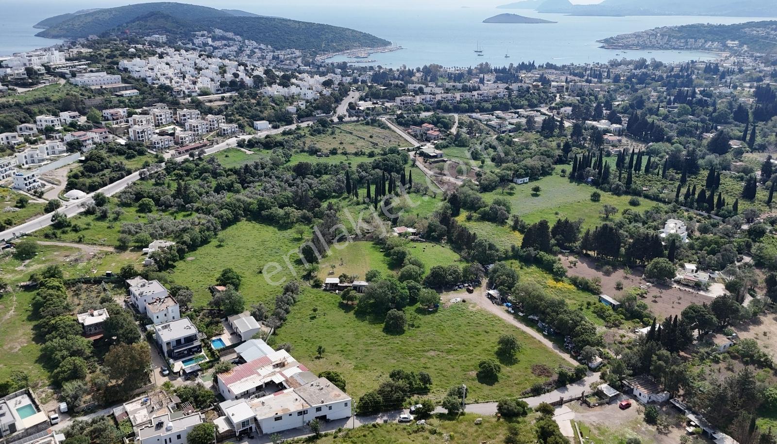 Bodrum Bıtezde Satılık Incır Bahçesı Hıssesı - Görsel 6