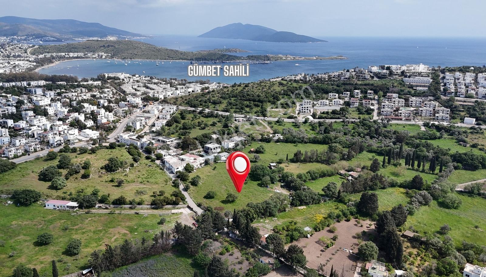 Bodrum Bıtezde Satılık Incır Bahçesı Hıssesı - Görsel 2