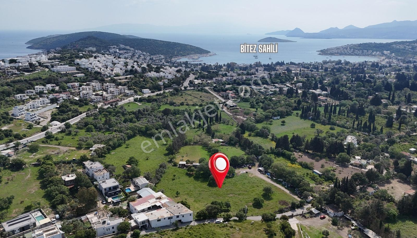 Bodrum Bıtezde Satılık Incır Bahçesı Hıssesı - Görsel 5