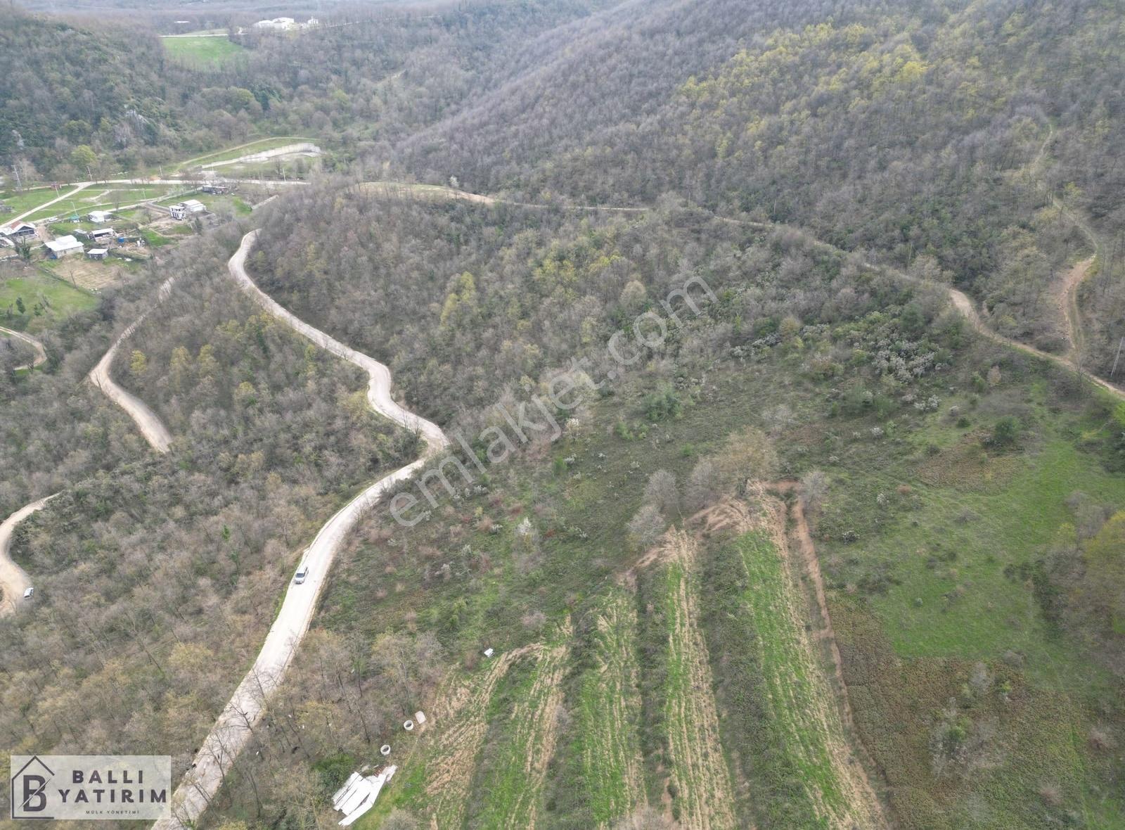 Ballı Yatırım'dan Manzaralı Yola Cephe 4788 M2 Tarla - Görsel 4