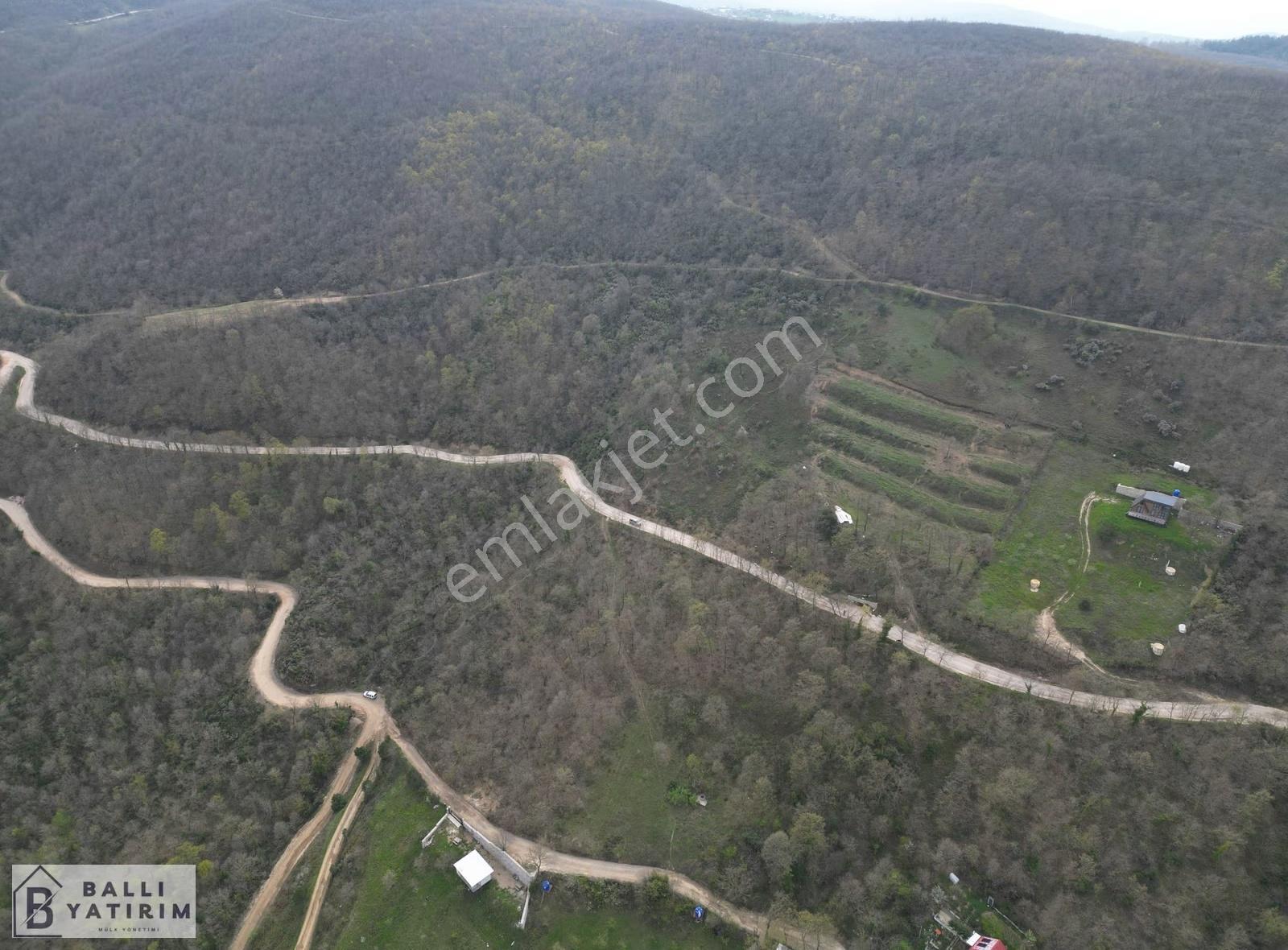 Ballı Yatırım'dan Manzaralı Yola Cephe 4788 M2 Tarla - Görsel 5
