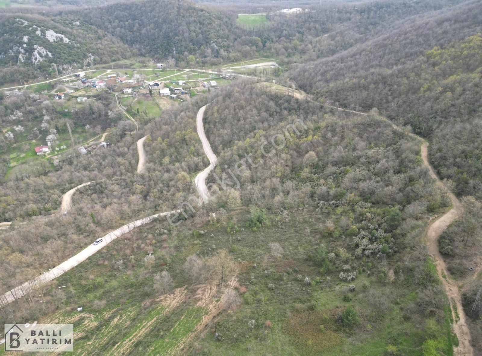 Ballı Yatırım'dan Manzaralı Yola Cephe 4788 M2 Tarla - Görsel 15