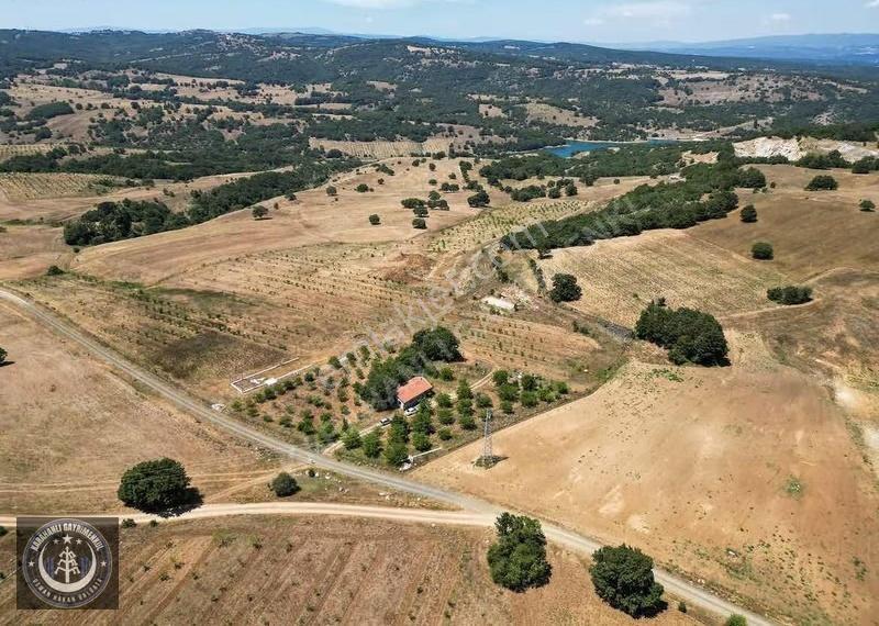 Bilecik Söğütte 60 Dönüm Satılık Hazır Çiftlik | 2000 Chandler - Görsel 4