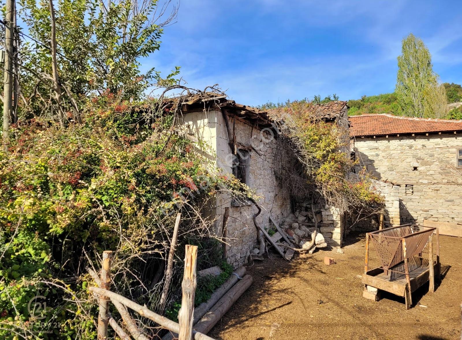 C21 Bal'dan Kirazpınar Köyünde Satılık İçinde Yapı Bulunan Arsa - Görsel 3