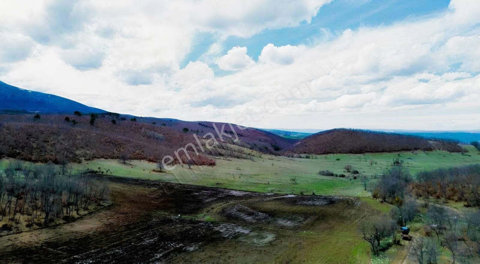 Mecitözü Fakıahmet Köyünde 14800m 2 Satlık Arazi - Görsel 11
