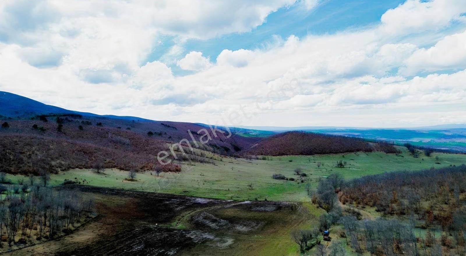 Mecitözü Fakıahmet Köyünde 14800m 2 Satlık Arazi - Görsel 19