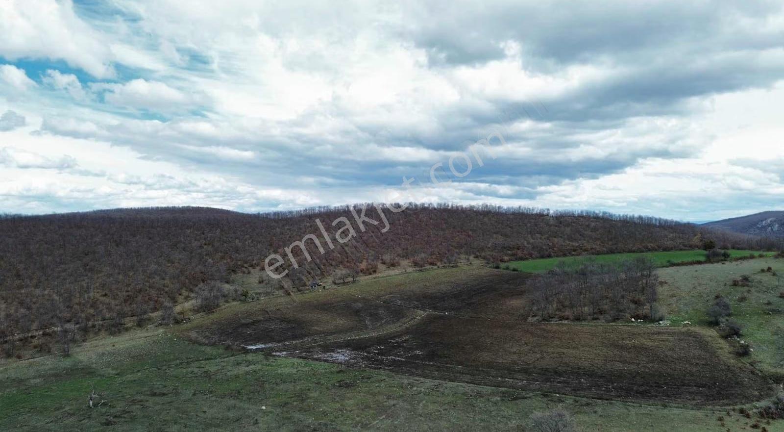 Mecitözü Fakıahmet Köyünde 14800m 2 Satlık Arazi - Görsel 26