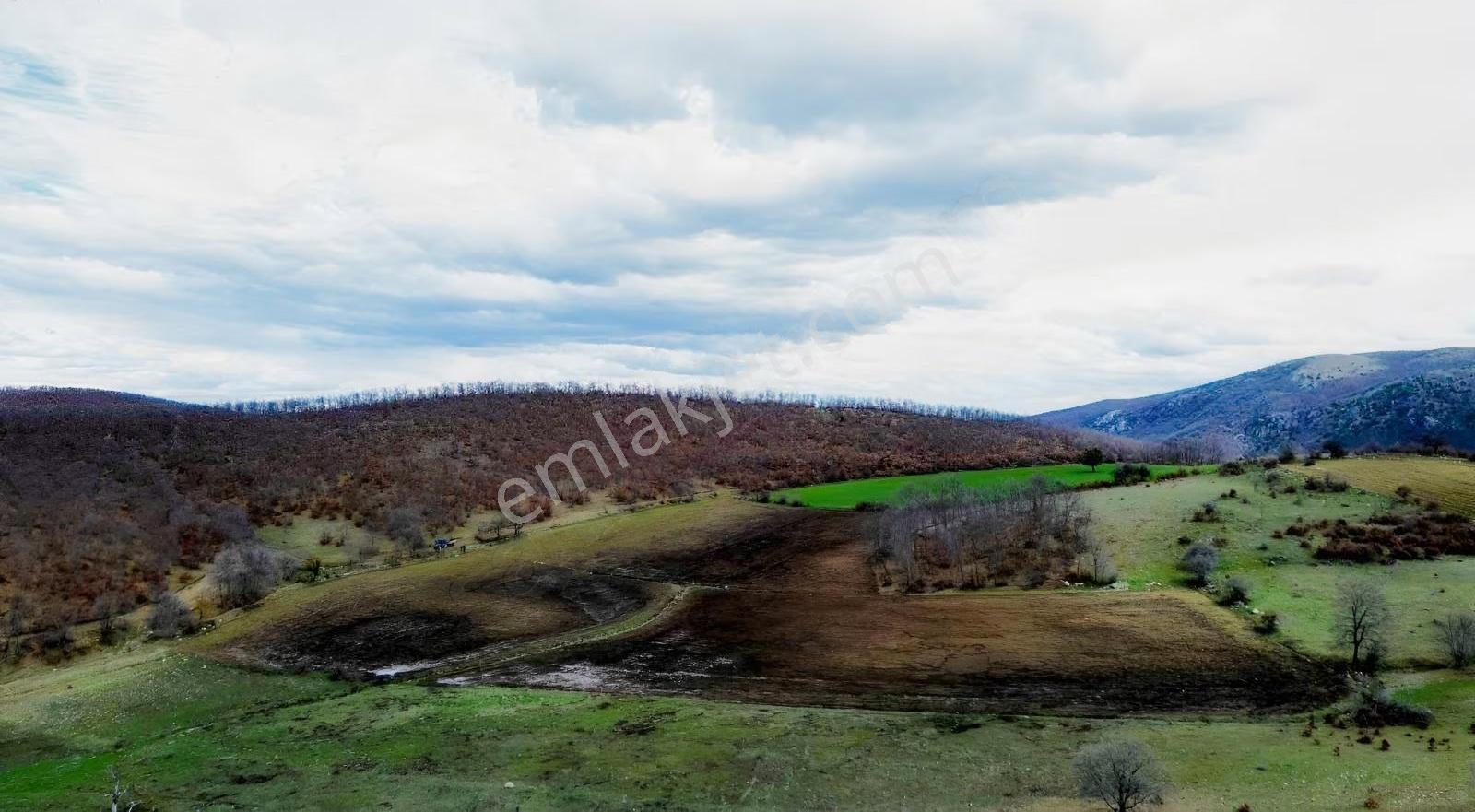 Mecitözü Fakıahmet Köyünde 14800m 2 Satlık Arazi - Görsel 3