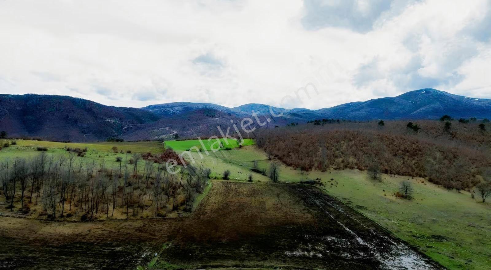 Mecitözü Fakıahmet Köyünde 14800m 2 Satlık Arazi - Görsel 14