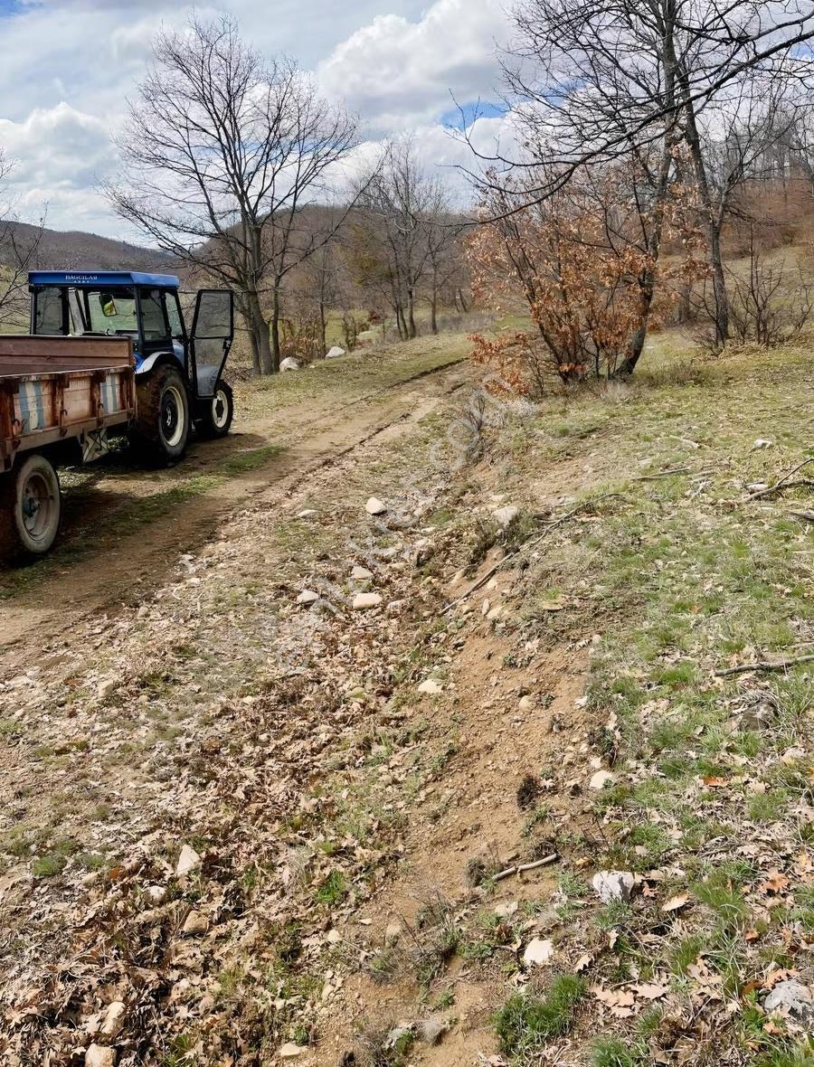 Mecitözü Fakıahmet Köyünde 14800m 2 Satlık Arazi - Görsel 17