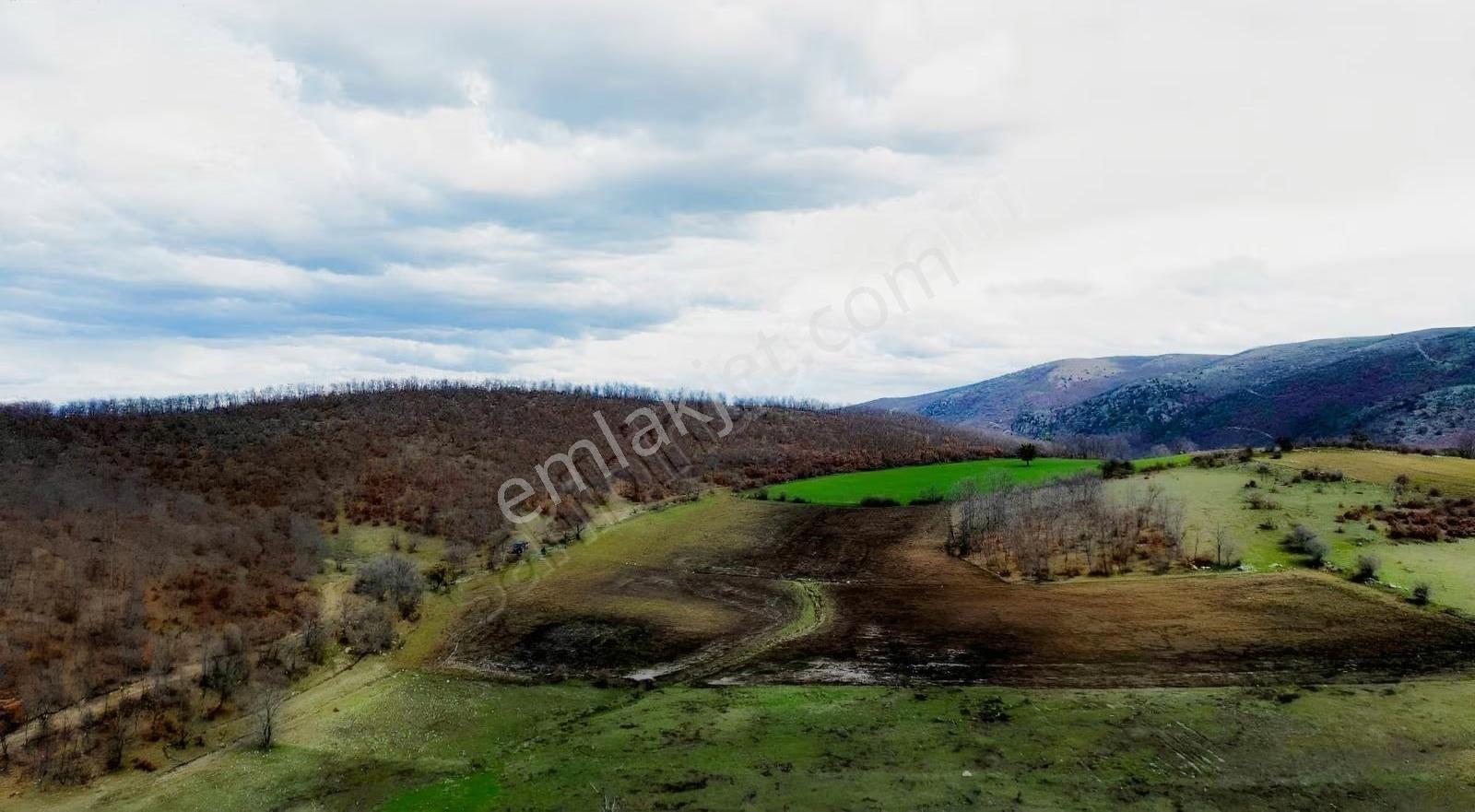 Mecitözü Fakıahmet Köyünde 14800m 2 Satlık Arazi - Görsel 12