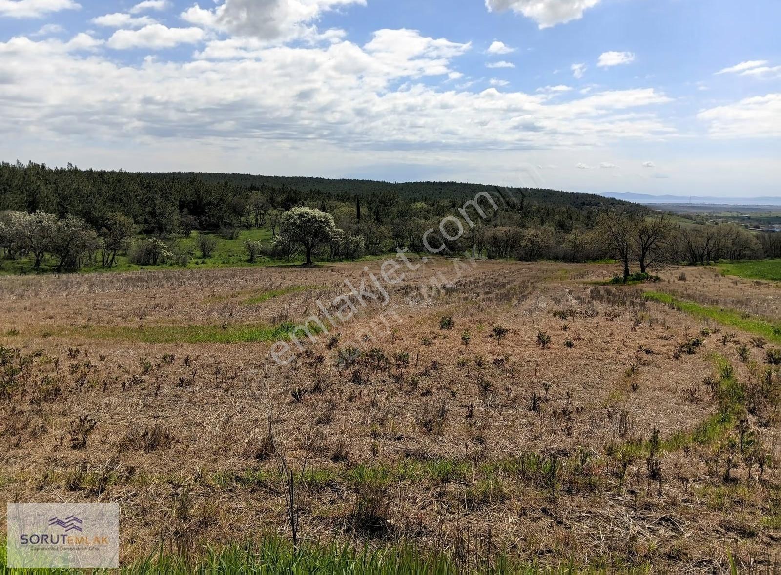 Enez Umurbey'de Resmi Yola Cephe Satılık 7.017 M² Tarla - Görsel 6