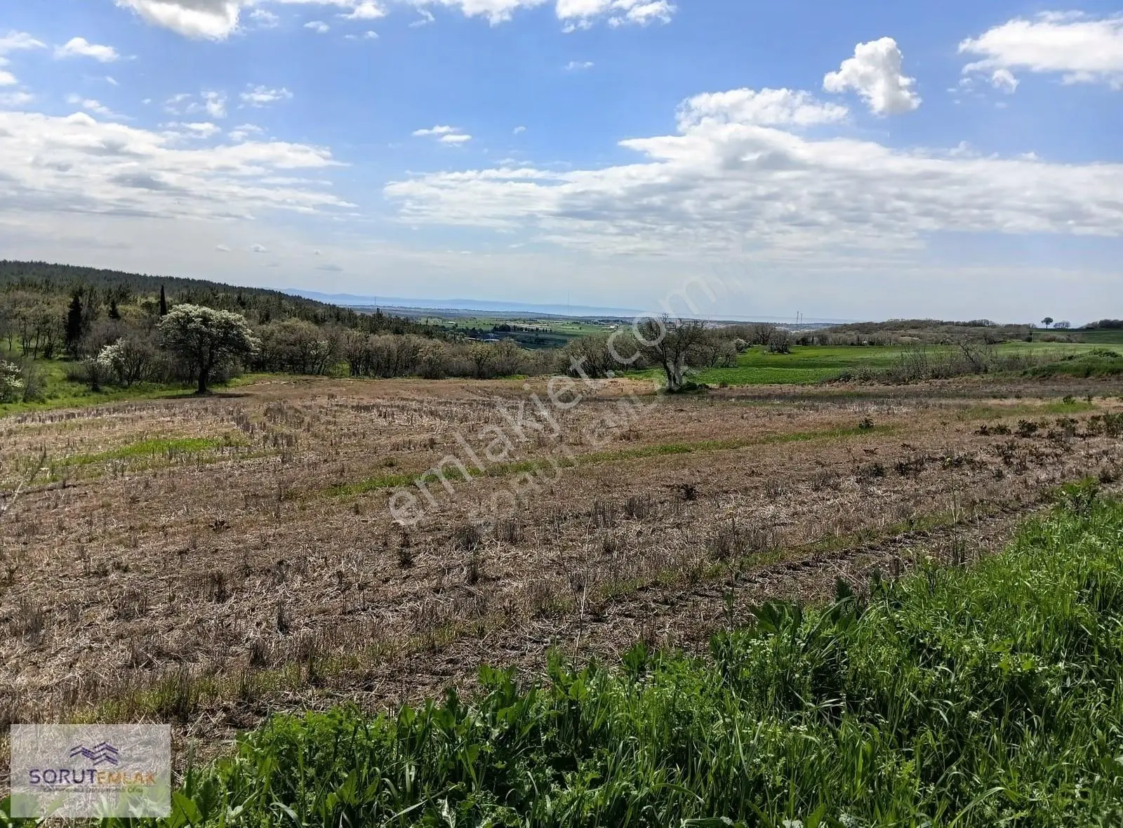Enez Umurbey'de Resmi Yola Cephe Satılık 7.017 M² Tarla - Görsel 5