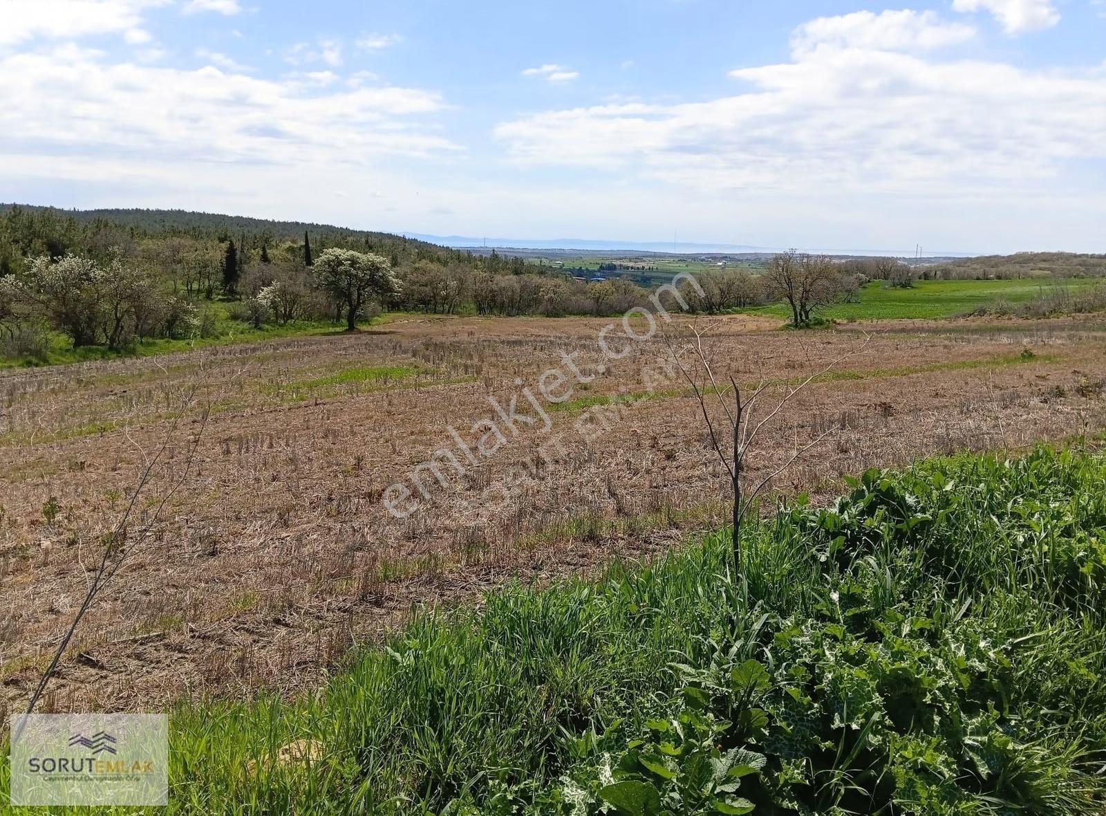 Enez Umurbey'de Resmi Yola Cephe Satılık 7.017 M² Tarla - Görsel 3