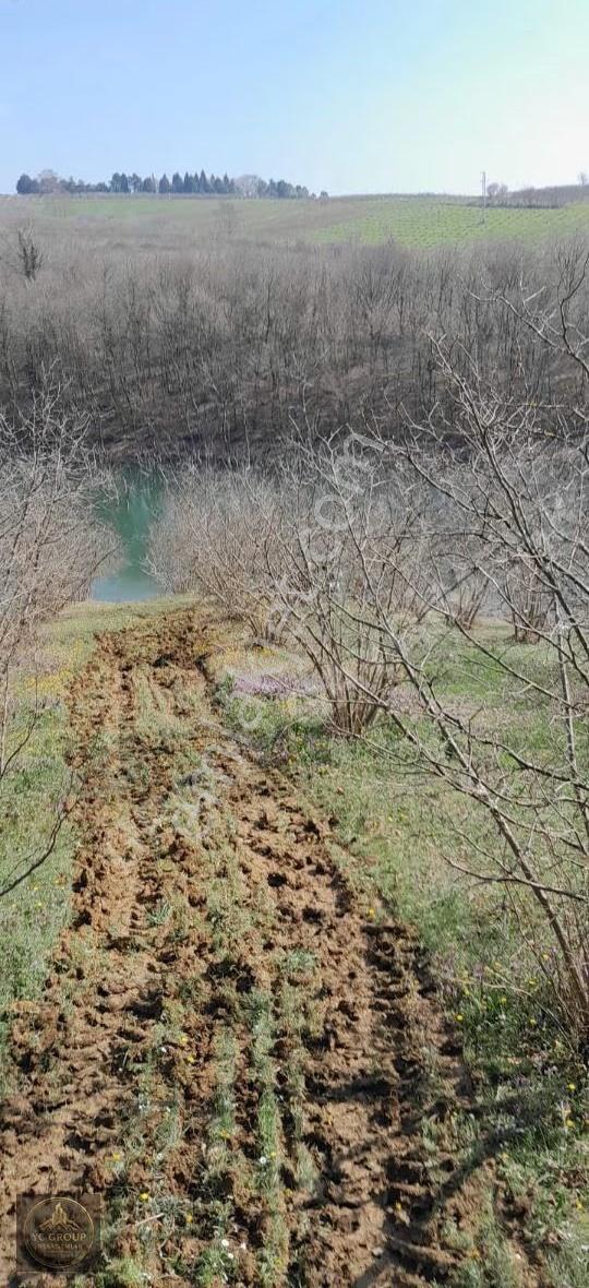 Göle Sıfır Manzaralı Fındık Bahçesi.. Huzurun Tam Adı. - Görsel 2