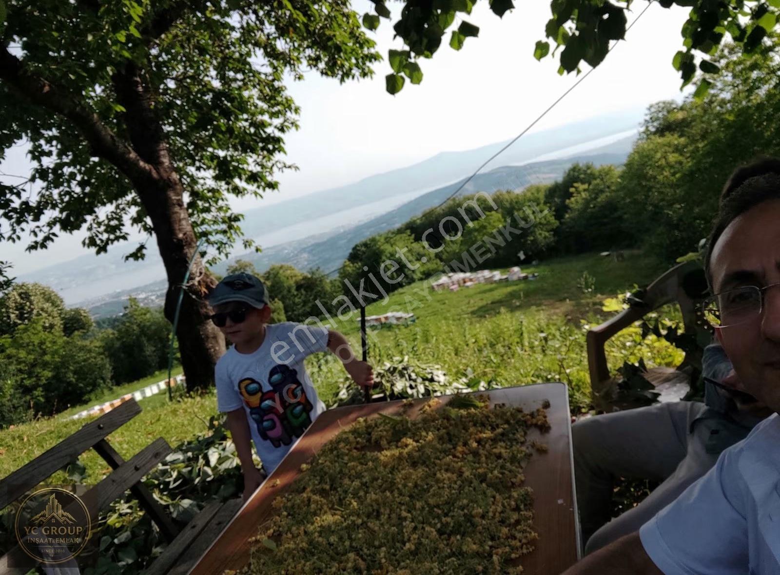 Satılık Meyve Bahçesi, Manzarası, Havası, Meyvesi, Suyu Yolu Var - Görsel 9