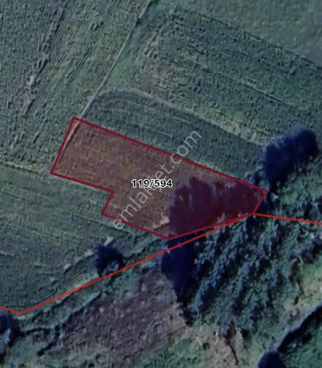 Kandıra Kırkarmut 1,117 M2 Satılık Fırsat Tarla