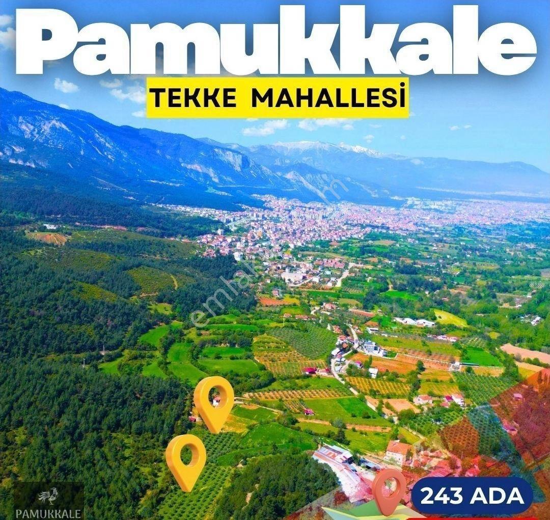 Tekkeköyde Satılık 2 Parça 7500m2 Zeytinlik Fiyat İki Parsel Fiyatıdır